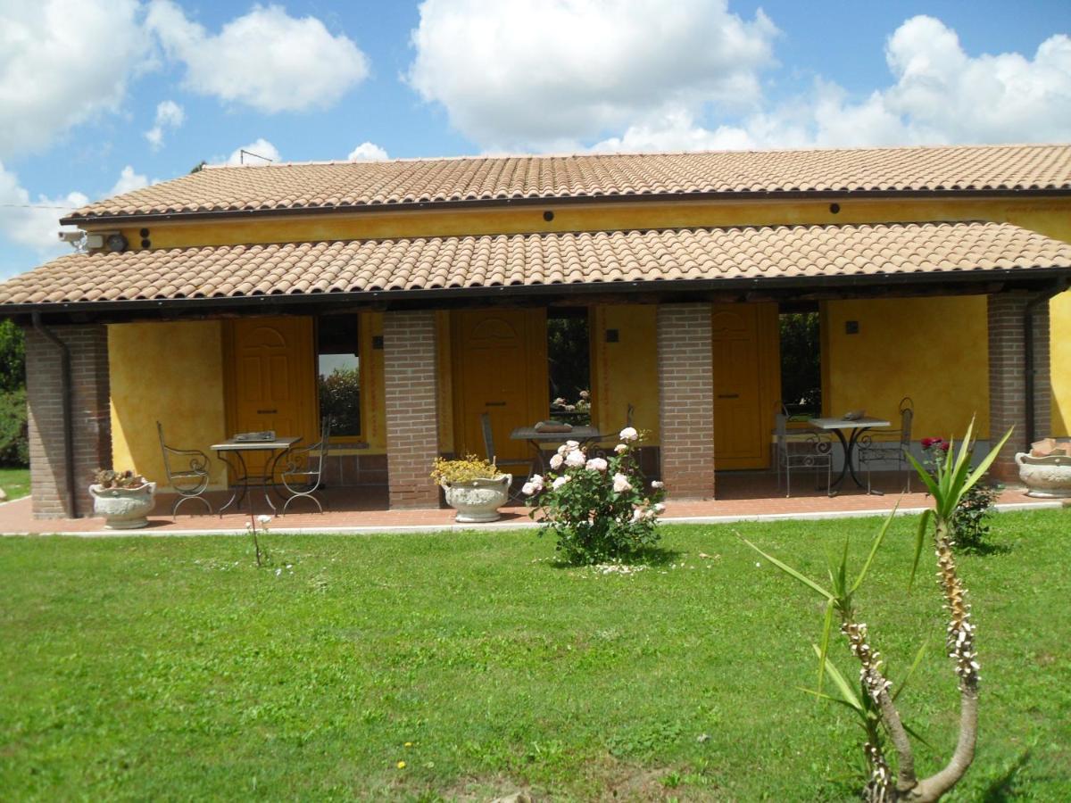 Agriturismo Il Prataccio Ischia di Castro Екстериор снимка